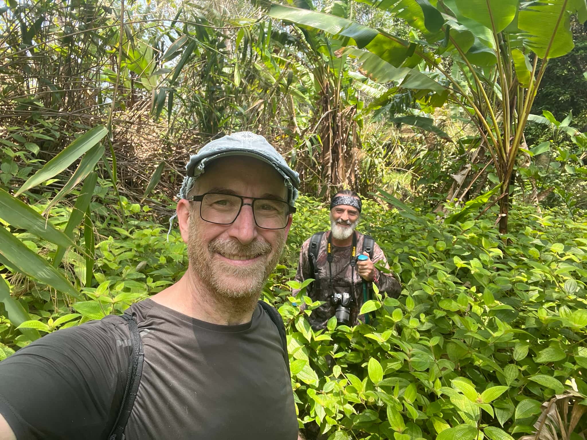 Jungle — Phuket