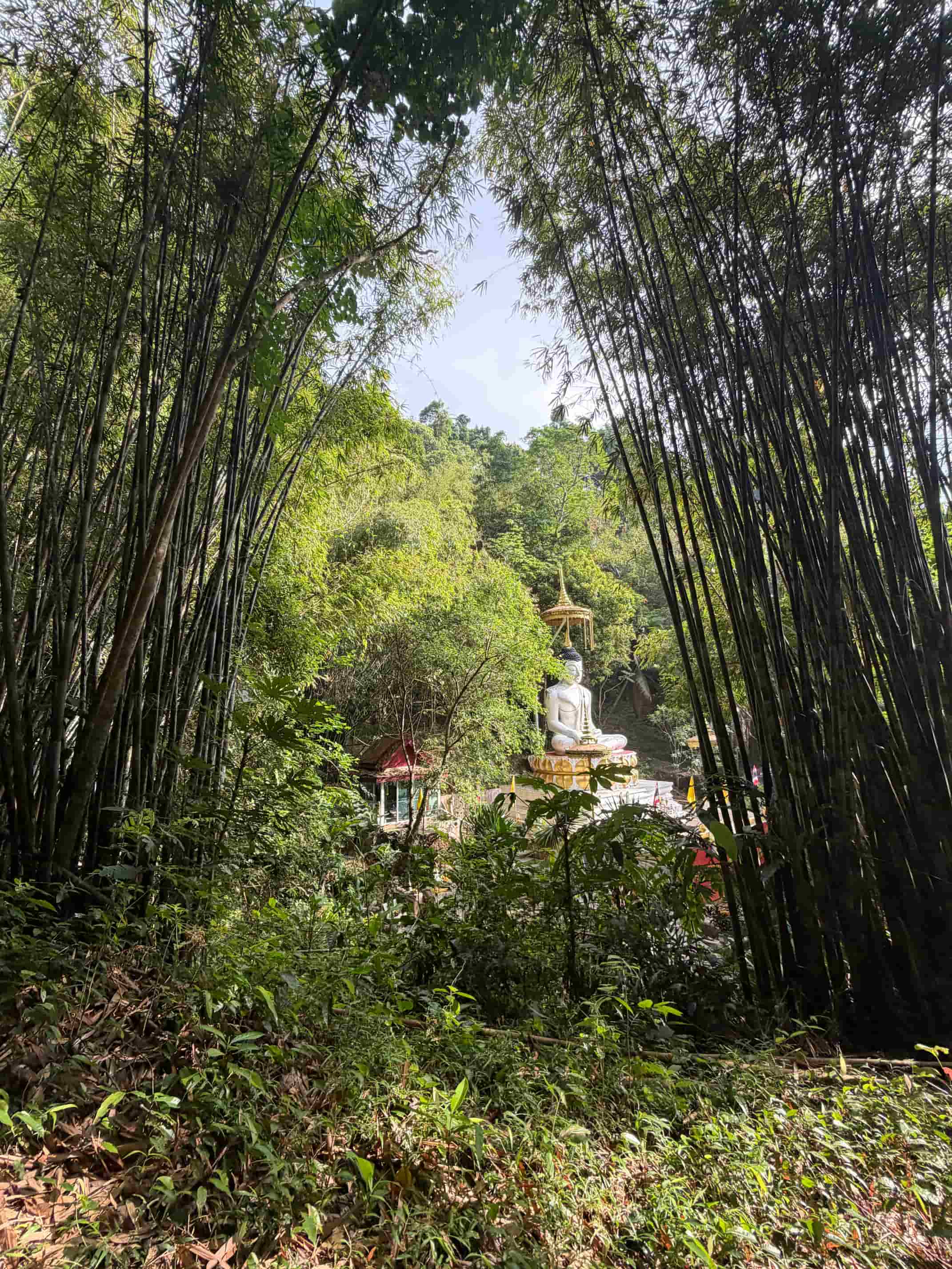 Jungle Temple 4 — Phuket